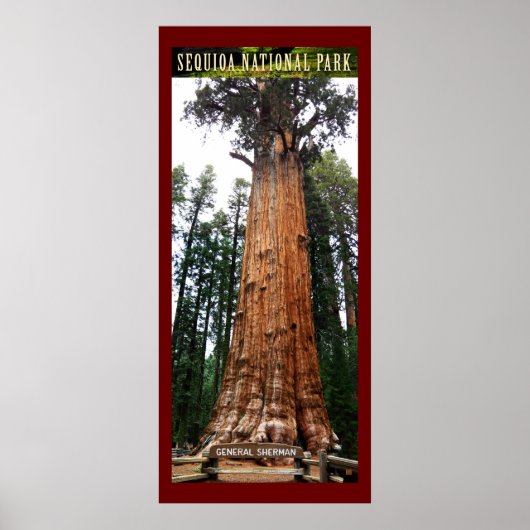 SEQUOIA NAT'L PARK-Kalifornien-General Sherman- Poster (Vorne)
