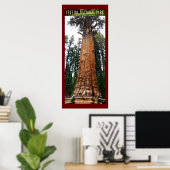SEQUOIA NAT'L PARK-Kalifornien-General Sherman- Poster (Heimbüro)