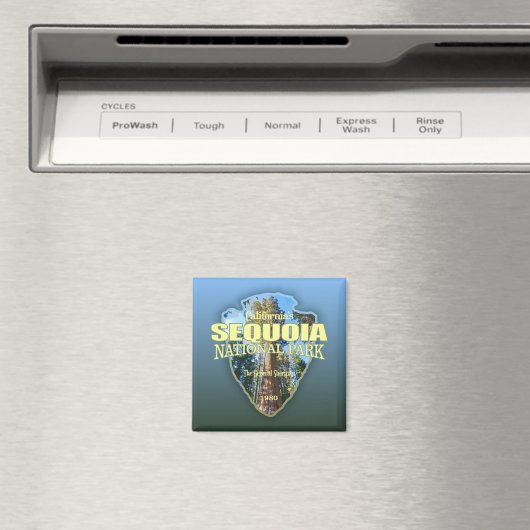 Sequoia NP (Pfeilspitzen) Magnet (In Situ (Geschirrspüler))