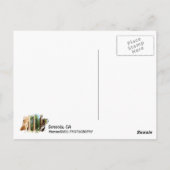 Sequoia Postcard! Postkarte (Rückseite)