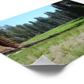 Sequoia Poster (Ecke)