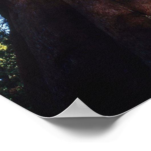 Sequoia Poster (Ecke)