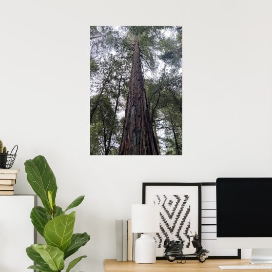 Sequoia Poster (Heimbüro)