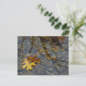 Sequoia Postkarten (Stehend Vorderseite)