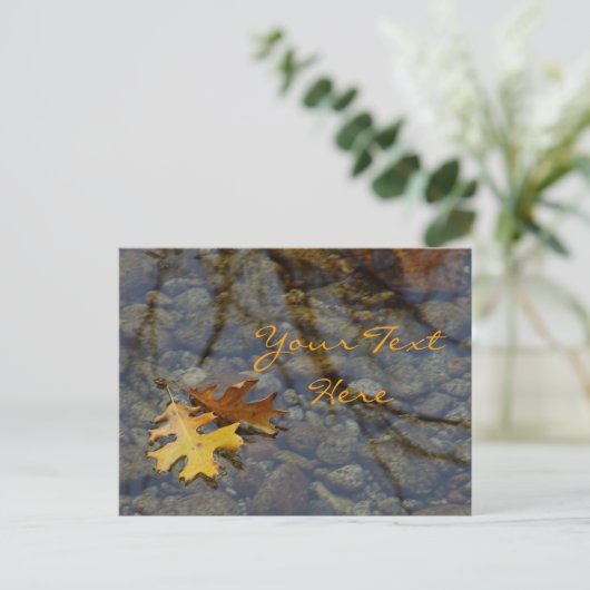 Sequoia Postkarten (Stehend Vorderseite)