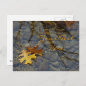 Sequoia Postkarten (Vorne/Hinten)