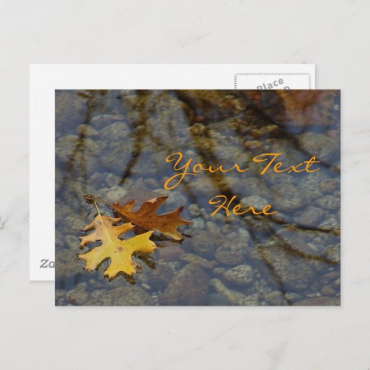 Sequoia Postkarten (Vorne/Hinten)