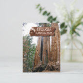 Sequoia-Riesenbäume, Sequoia-Nationalpark, CA Postkarte (Stehend Vorderseite)