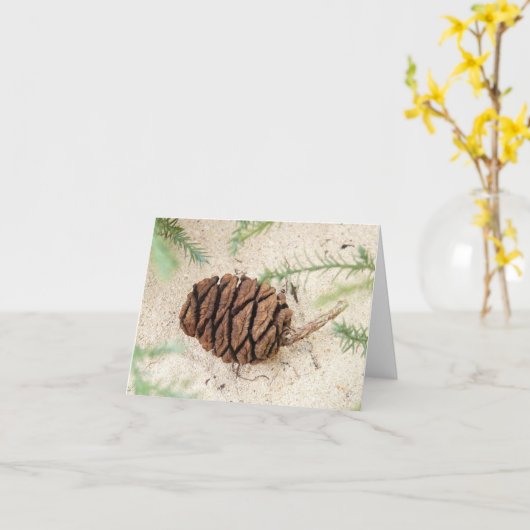 Sequoia Tree Cone auf Sandgrund Karte (Gelbe Blume)