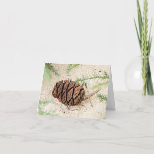 Sequoia Tree Cone auf Sandgrund Karte