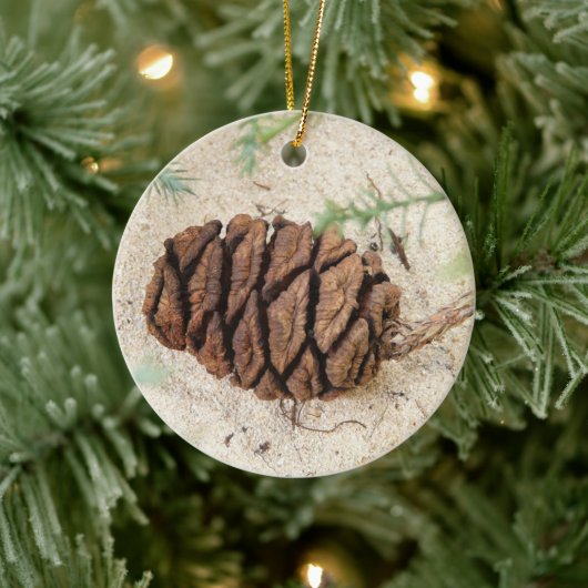 Sequoia Tree Cone, Giant Redwood Ornament (Baum)