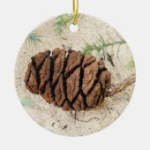 Sequoia Tree Cone, Giant Redwood Ornament (Vorne)