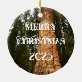 Sequoia Tree Cone, Giant Redwood Ornament (Hinten)