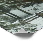 Sequoia Tree Poster (Ecke)