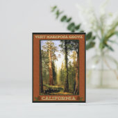 Sequoia Trees at Mariposa Grove Postkarte (Stehend Vorderseite)
