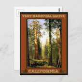 Sequoia Trees at Mariposa Grove Postkarte (Vorne/Hinten)
