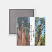 Sequoia Trees Magnet (Vorderseite/Rückseite)