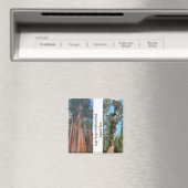 Sequoia Trees Magnet (In Situ (Geschirrspüler))