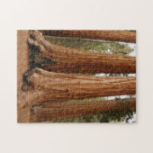 Sequoia Trees, Sequoia National Park, Kalifornien Puzzle (Horizontal)