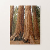 Sequoia Trees, Sequoia National Park, Kalifornien Puzzle (Vertikal)