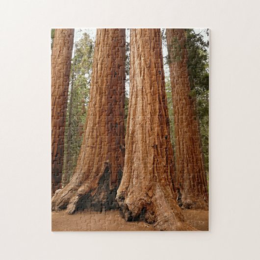 Sequoia Trees, Sequoia National Park, Kalifornien Puzzle (Vertikal)