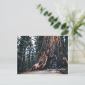 Sequoia Tunnel Tree California 1952 Postkarte (Stehend Vorderseite)