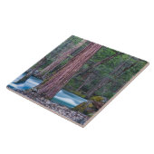 Sequoias & Merced River Yosemite National Park, CA Fliese (Seite)