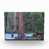 Sequoias & Merced River Yosemite National Park, CA Fotoblock (Vorderseite)