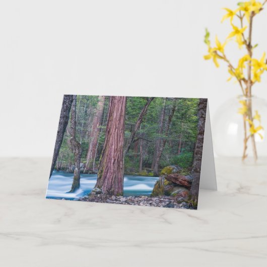 Sequoias & Merced River Yosemite National Park, CA Karte (Gelbe Blume)