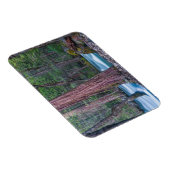 Sequoias & Merced River Yosemite National Park, CA Magnet (Rechte Seite)