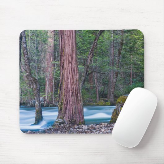 Sequoias & Merced River Yosemite National Park, CA Mousepad (Mit Mouse)
