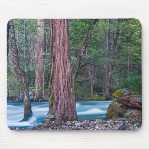 Sequoias & Merced River Yosemite National Park, CA Mousepad