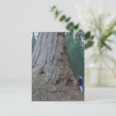 Sequoias Trees Riants Postkarte (Stehend Vorderseite)