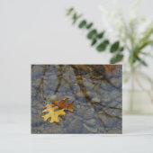 Sequuia Postkarte (Stehend Vorderseite)