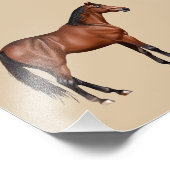 Serafina - braunes Pferd, stehend -  Fotodruck (Ecke)