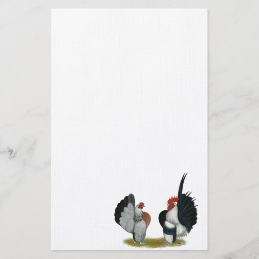 Serama Bantams Briefpapier (Vorderseite)