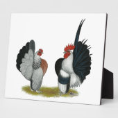 Serama Bantams Fotoplatte (Seite)