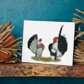 Serama Bantams Fotoplatte (Seite)