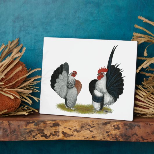 Serama Bantams Fotoplatte (Seite)