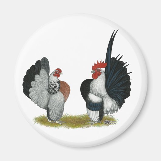 Serama Bantams Magnet (Vorne)