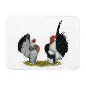 Serama Bantams Magnet (Horizontal)