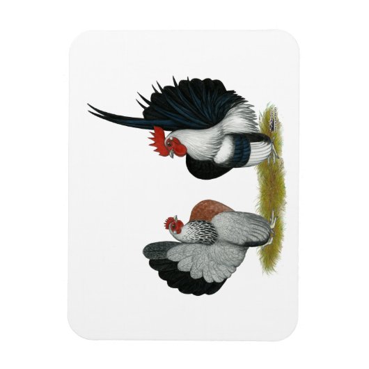 Serama Bantams Magnet (Vertikal)