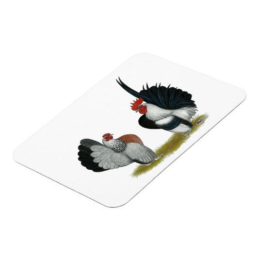 Serama Bantams Magnet (Linke Seite)