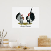 Serama Bantams Poster (Küche)