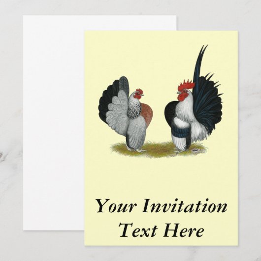 Serama Zwerghühner Einladung (Vorne/Hinten)