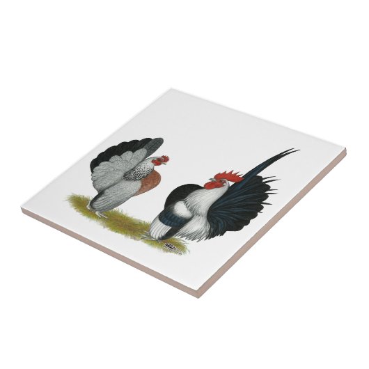 Serama Zwerghühner Fliese (Seite)