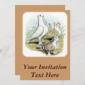 Seraphim Pigeons Einladung (Vorne/Hinten)