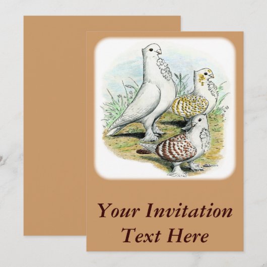 Seraphim Pigeons Einladung (Vorne/Hinten)