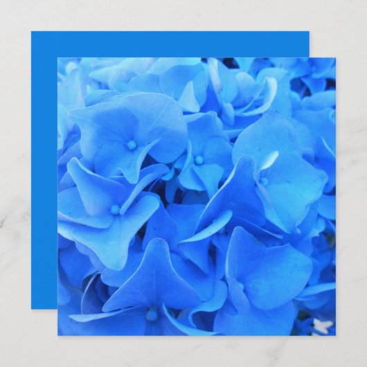 Seraphine (Vorne/Hinten)