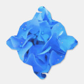 Seraphine Geschenkschachtel (Ungefaltet)